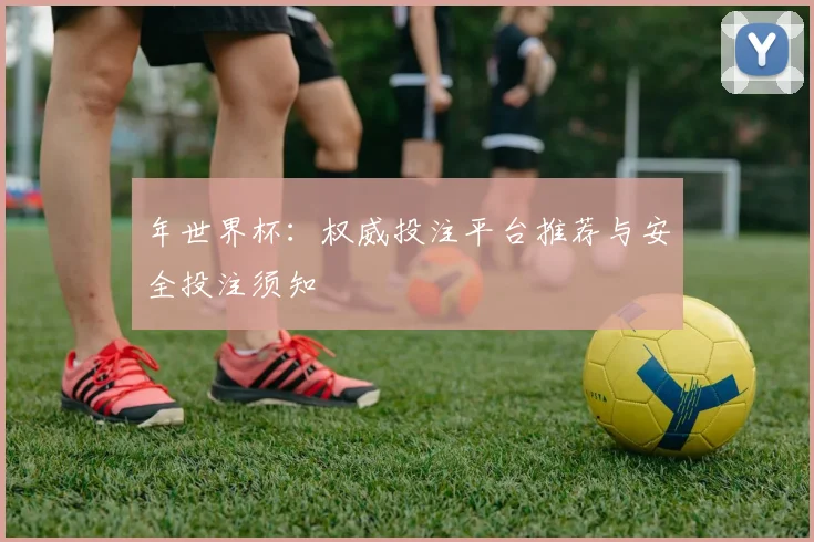 年世界杯：权威投注平台推荐与安全投注须知