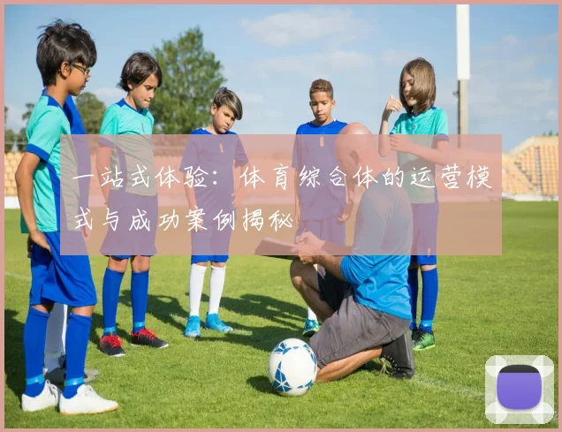 一站式体验：体育综合体的运营模式与成功案例揭秘